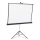 Dopah/ Apollo 70”x70” Tripod Projection Screen
